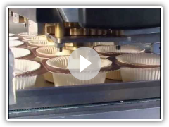 Batter Depositing  on an Empire Cookie Depositor