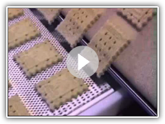 Shortbread Biscuit Depositing on an Empire Cookie Depositor